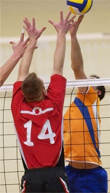 Pallavolo