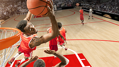 Immagine pallacanestro