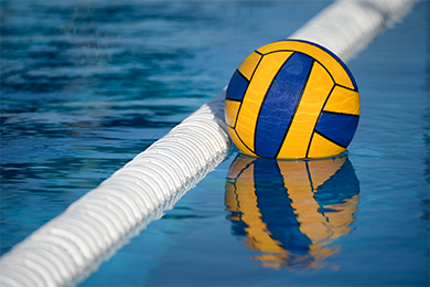 Immagine breve storia della