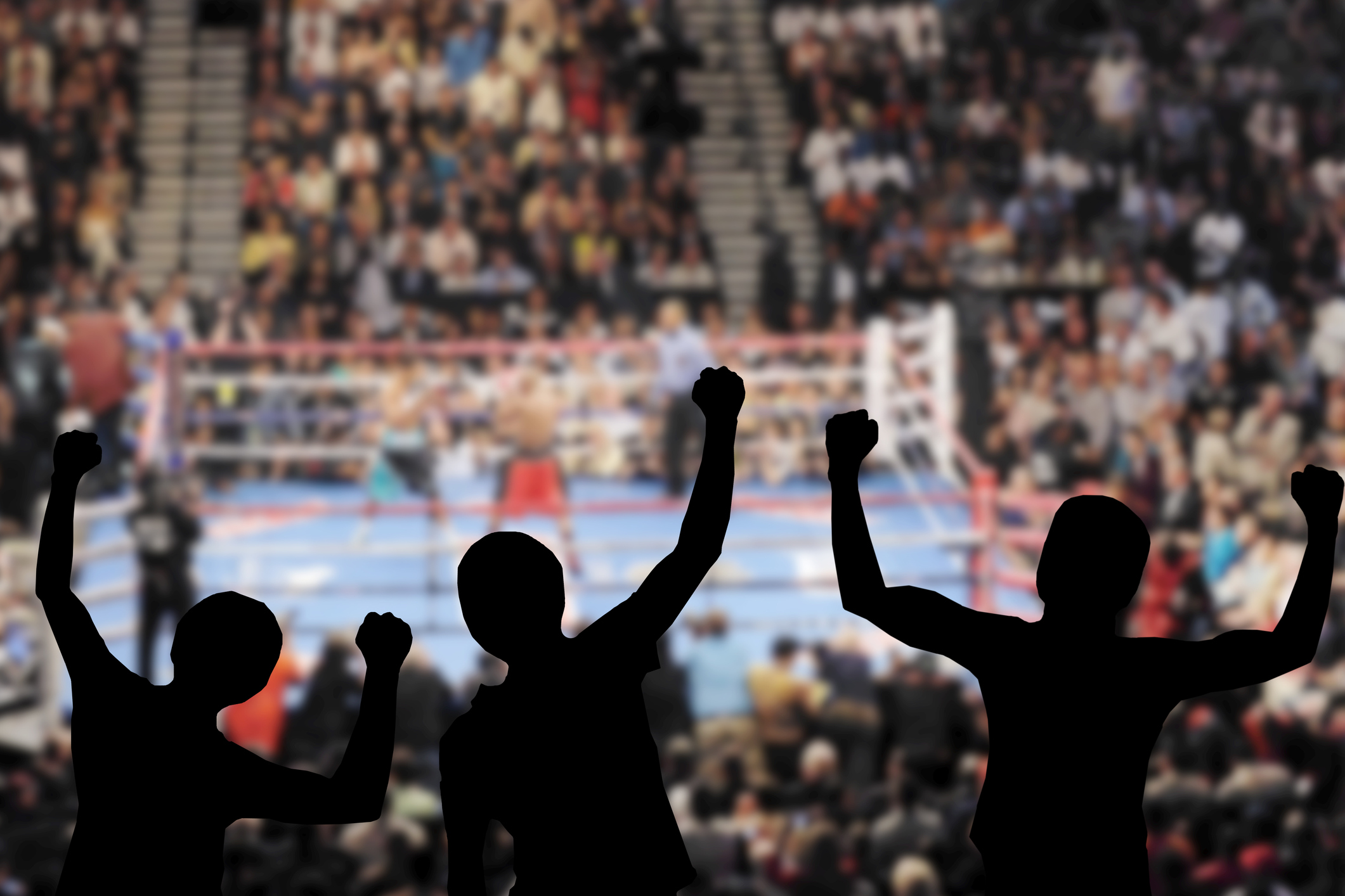 Immagine conclusione